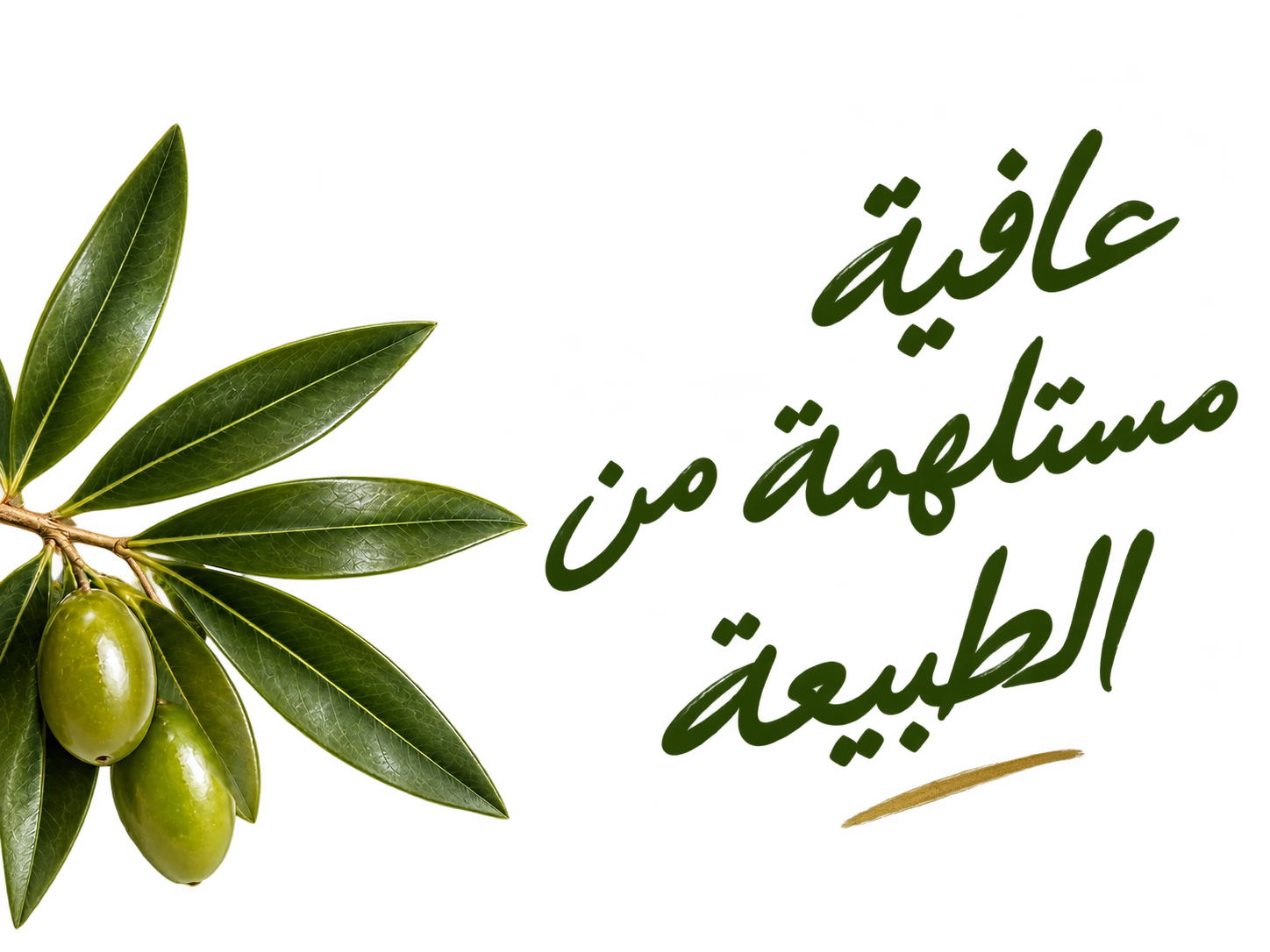 غصن زيتون مع عبارة عافية مستلهمة من الطبيعة