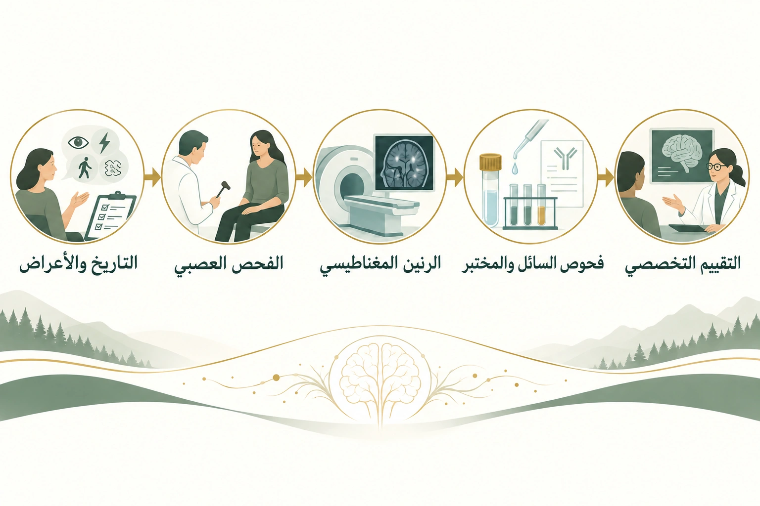 مسار تقييم سريري يبدأ بالتاريخ والفحص وينتقل إلى الرنين المغناطيسي والتحاليل والتقييم المتخصص